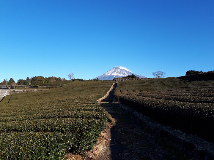 富士山麓線　案内板2